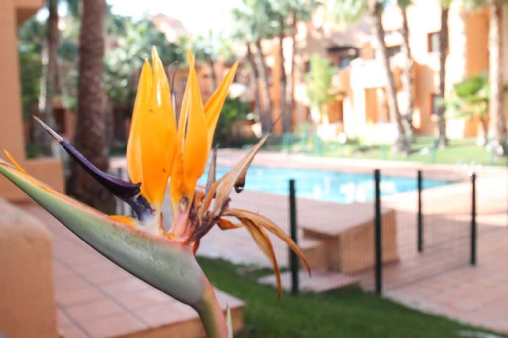 Casa Hermana Los Alcázares Екстериор снимка